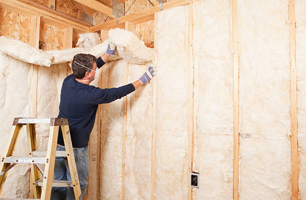 Best Attic Insulation Installation  in Warson Woods, MO